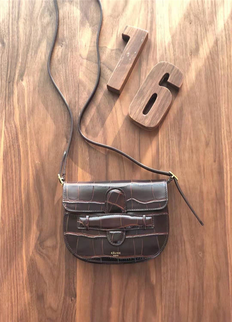 663 Celine女包 賽琳包包 Celine小包 手提斜挎包 賽琳馬鞍包