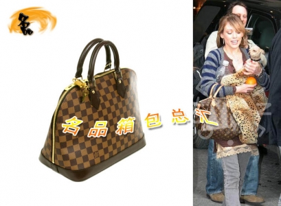 N51131 LV LV(jng)P LVŮ LVI LV