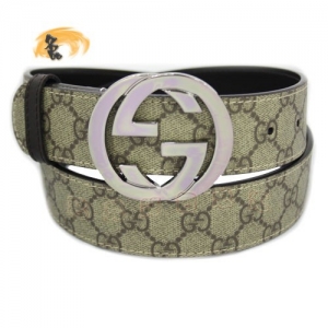 114876 GuccirŮʿƤ GucciƤ PVCŮʿƤ Gucci ɫ