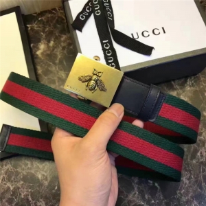 Gucci Y پWͬ ƴƤ ʿ ۷䎧