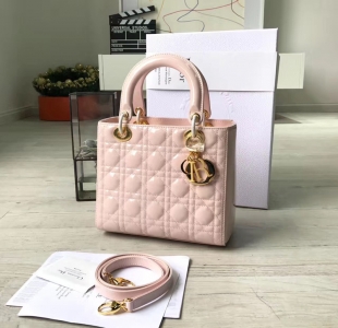 DiorϊW Lady Dior  С̖ ɫƤ ɫ