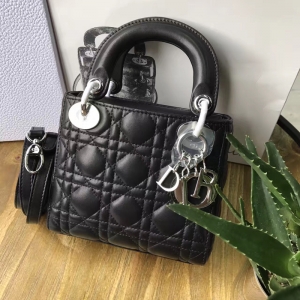 DiorϊW Lady Dior ϊW Mini ɫƤ Dior朗l y