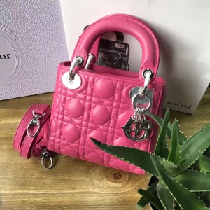DiorϊW Lady Dior ϊW  õtɫƤ Dior朗l y