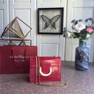 21F893 Ferragamo Ľ h {~y ̖w 朗l tɫ