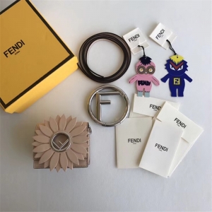 003 FENDIҵ MICRO KAN I ɢX ԭ ҵŮ rb ɫ