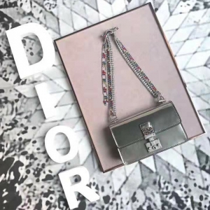 5817 DiorŮ ͹Ų@ٿ RСţƤ ϊWִ @朗l yɫ