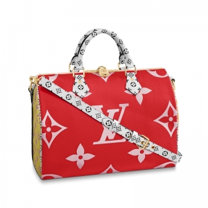 M44573 LV SPEEDY BANDOULIERE 30 ִ 2019¿ LV^ tɫ