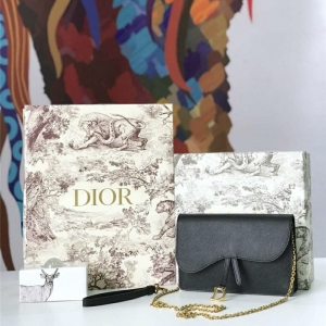 M5620 Dior SaddleϵŮ woc СţƤ ϊW朗l Diorð ɫ