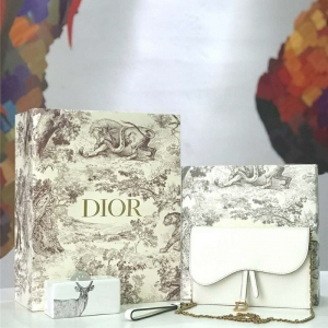 M5620 Dior SaddleϵŮ woc СţƤ ϊW朗l Diorð ɫ