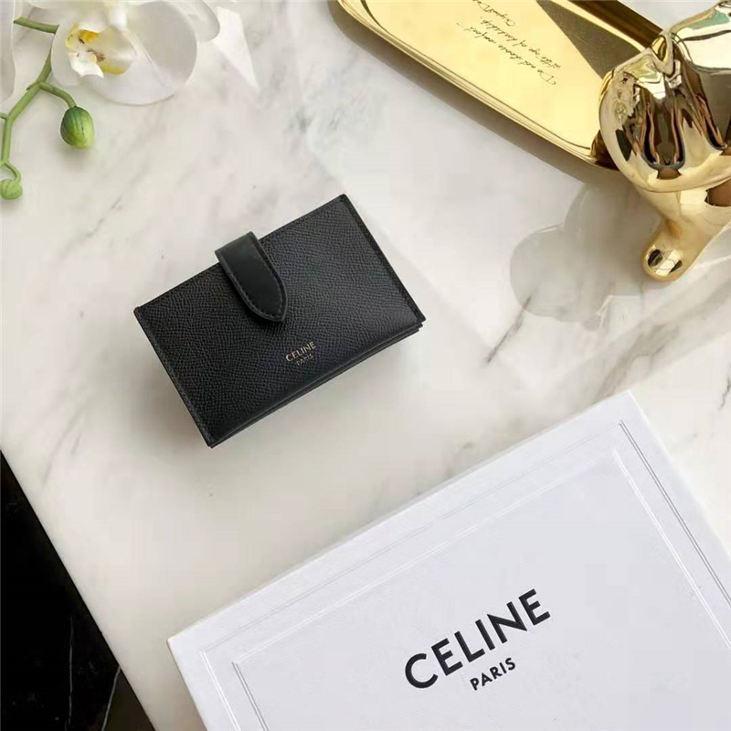 10B693 Celineِտ СţƤ CelineL޿ ɫ 