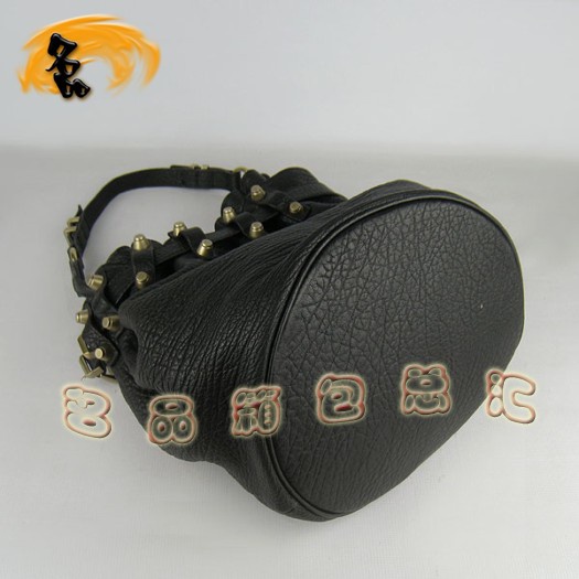 63462 Alexander Wang/ɽ reŮ  б ᔰ