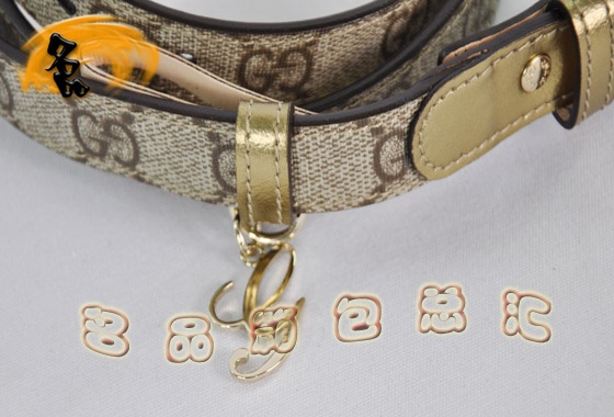 201789 GucciƤ Gucci¿ PVC rŮʿƤ Gucci ԭһһƷ|