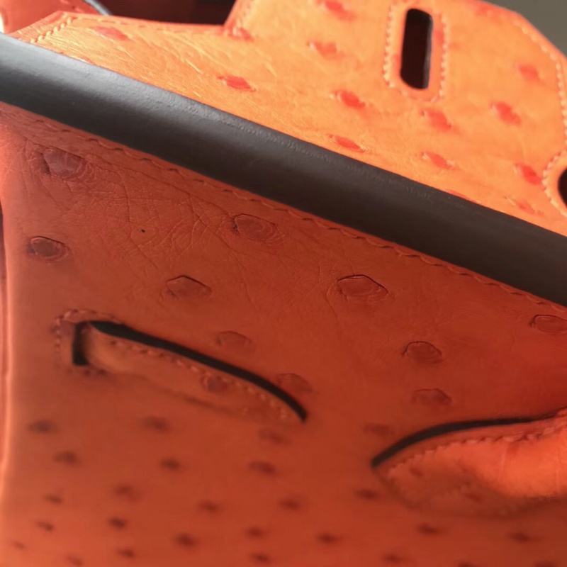 Hermes Birkin 25 愛馬仕鉑金包 純手工定制版 鴕鳥皮 橙色