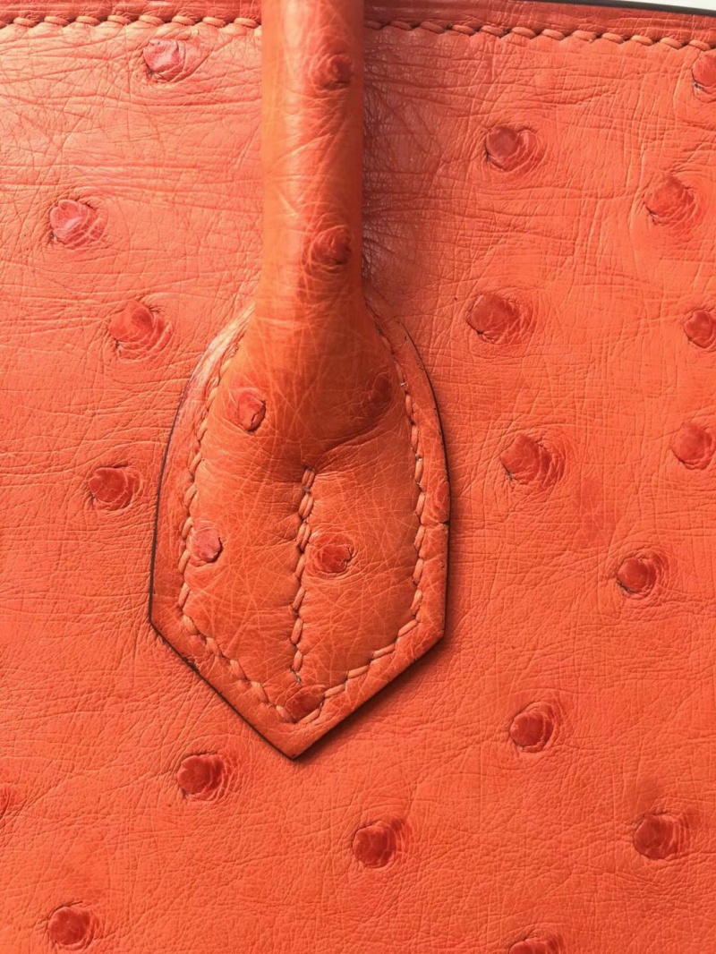 Hermes Birkin 25 愛馬仕鉑金包 純手工定制版 鴕鳥皮 橙色