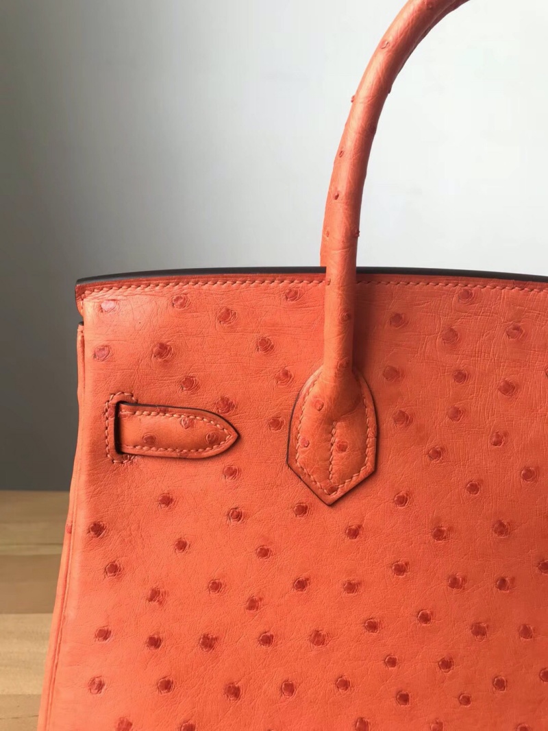 Hermes Birkin 25 愛馬仕鉑金包 純手工定制版 鴕鳥皮 橙色